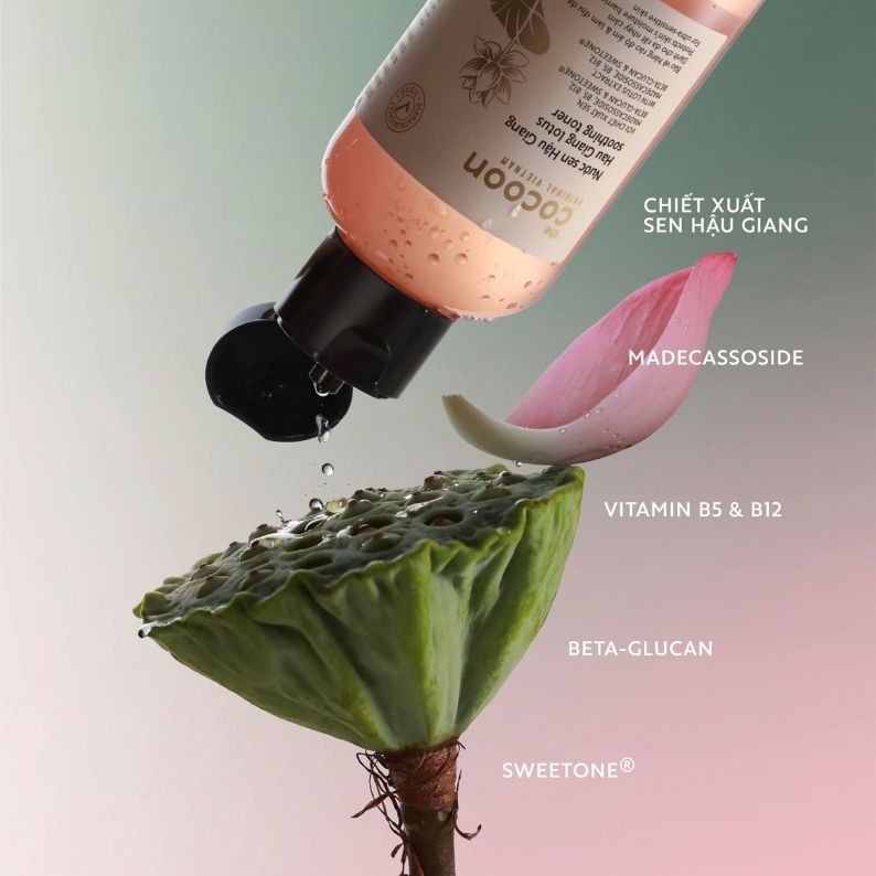Các hoạt chất chính trong nước cân bằng da dầu mụn Cocoon giúp kháng viêm